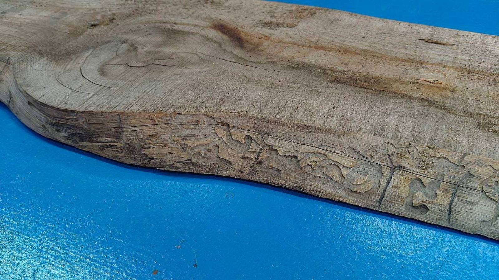 Шикарная идея из старой доски. смотреть онлайн