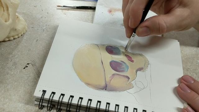 Water Soluble Oils to paint a Skull - theartproject (2019) chad brown смотреть онлайн
