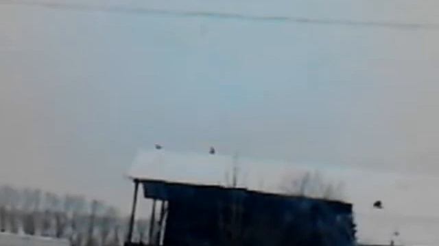 карошлеп смотреть онлайн