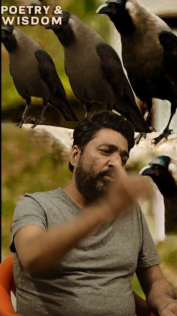 what is the crow relation with the guest | Urdu Quotes смотреть онлайн