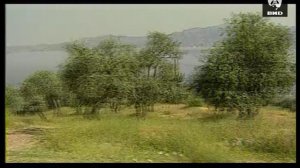 Непутевые заметки 10.06.2001