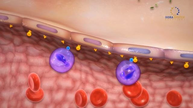 Ixora Digitek Teaser 4 смотреть онлайн