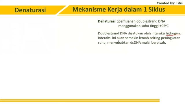 Bioteknologi - PCR - Materi Olimpiade Biologi SMA смотреть онлайн