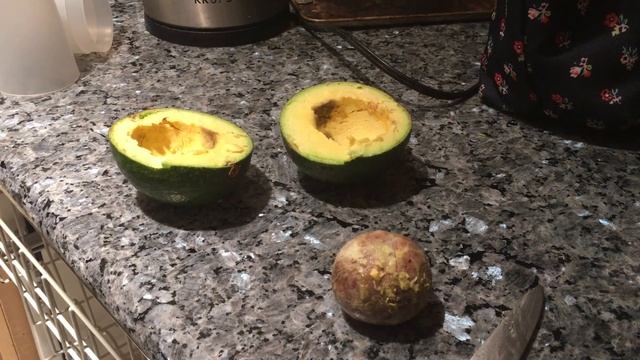 Reed Avocado Opening and Taste Test! смотреть онлайн