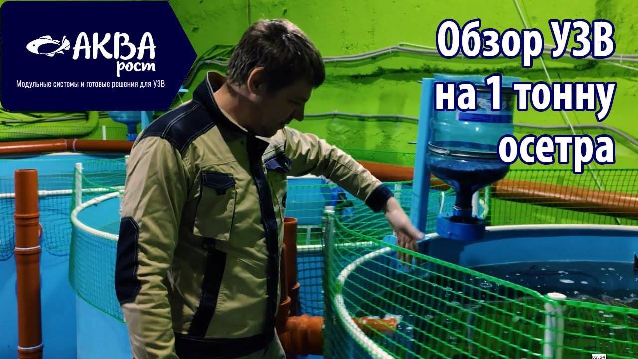 Обзор системы УЗВ на 19 кубов, 1 тонну осетра смотреть онлайн