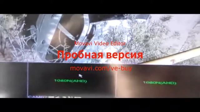 1080P Али Спор смотреть онлайн