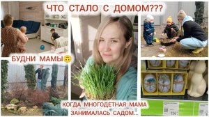 ЧТО СТАЛО С ДОМОМ  КОГДА МАМА ЗАНИМАЛАСЬ САДОМ🌿 ТОВАРЫ К ПАСХЕ 🪺 БУДНИ МАМЫ💛 ДЗЕН