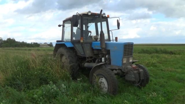 Трактор "Беларус" МТЗ 82 сбивает ботву на картофеле смотреть онлайн