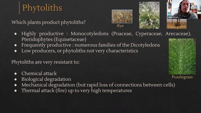 Introduction to Archaeobotany (Part 1), by A. Decaix and C. Douché смотреть онлайн