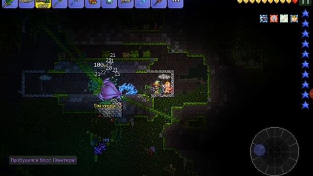 як вбити пантеру в (Terraria) НАЇЛУЧІ СТРІЛИ смотреть онлайн