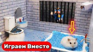 Лабиринт для Хомяка 🐹 Умный Хомяк проходит СЛОЖНЕЙШИЙ ЛАБИРИНТ С ЛОВУШКАМИ И ШАРИКАМИ