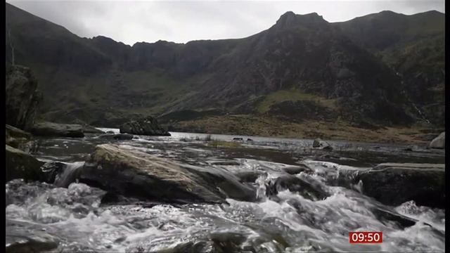 A wildflower extinct in the wild reintroduced to mainland Britain (UK) 25/May/2024 смотреть онлайн