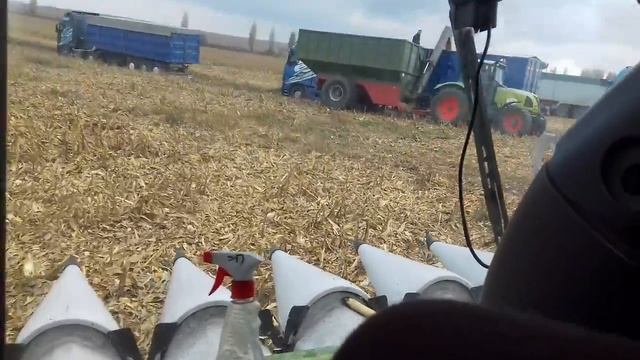 Молотять кукурудзу 2020 року.31 жовтня смотреть онлайн