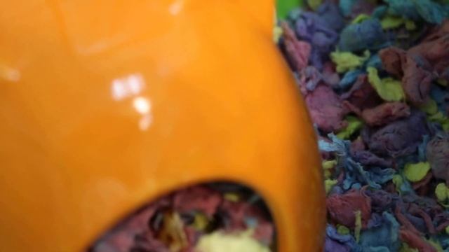 A lethargic hamster has sticky eye pus Pt 1 смотреть онлайн