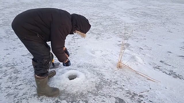 щука и окунь отчет за 26 03 22 смотреть онлайн