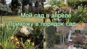 Мой сад в апреле🌷 Привожу Сад в порядок 🌱