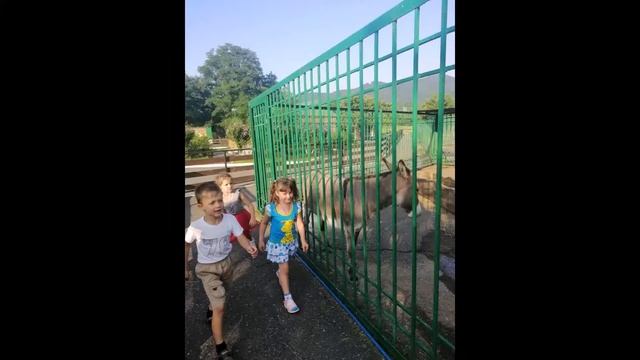 Досуг семьи