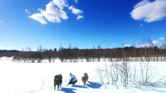 Dji Phantom 3 pro смотреть онлайн