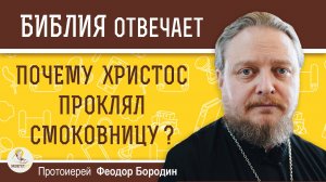 Почему Христос ПРОКЛЯЛ СМОКОВНИЦУ ? Протоиерей Феодор Бородин