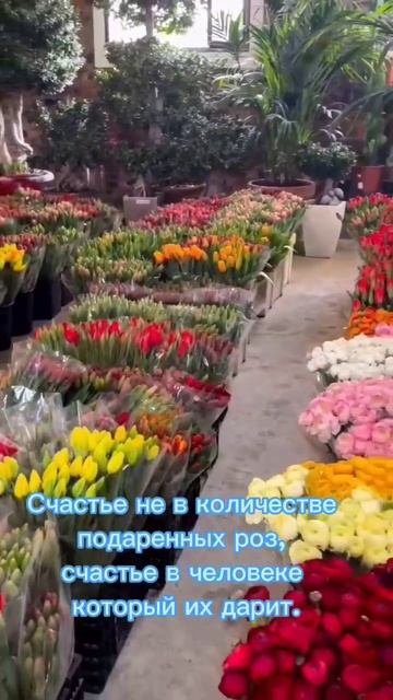 ZABAVA - Пионы Уже в сети! #zabava #рек #пионы смотреть онлайн