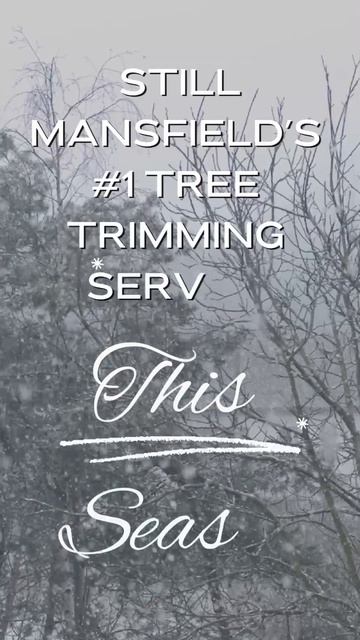 Best Mansfield Tree Care Trimming Service in Texas - Winter Holiday смотреть онлайн