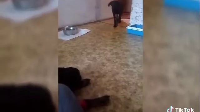 Бри и Одри смотреть онлайн