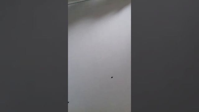 Сантехника смотреть онлайн