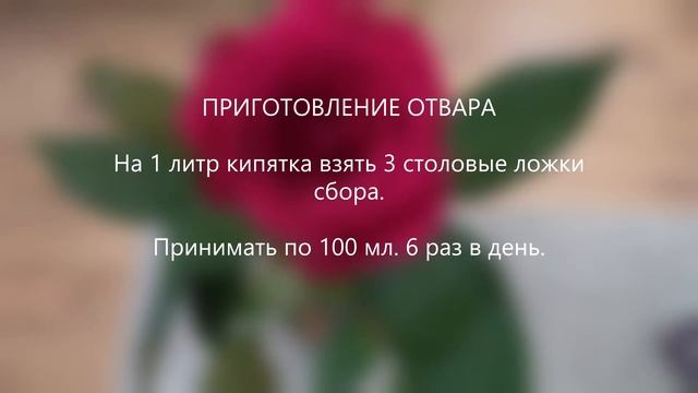 Сбор № 525. При исчезающих скудных месячных. смотреть онлайн