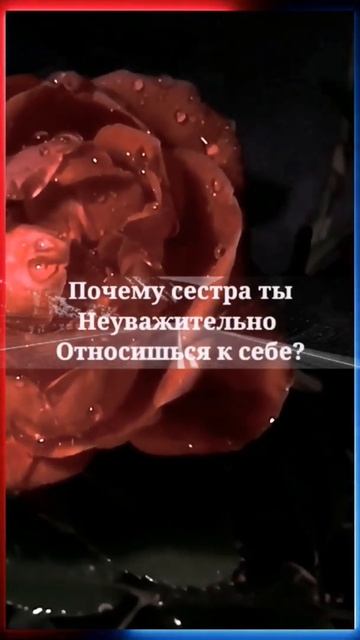 Аллах призывает тебя к Раю! ❤️ #Ислам смотреть онлайн