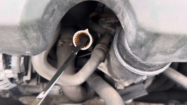 Разборка Volkswagen-Beetle 1998-2010, 1,9 (VIN:WVWZZZ9CZ3M617098) FX03PZK смотреть онлайн