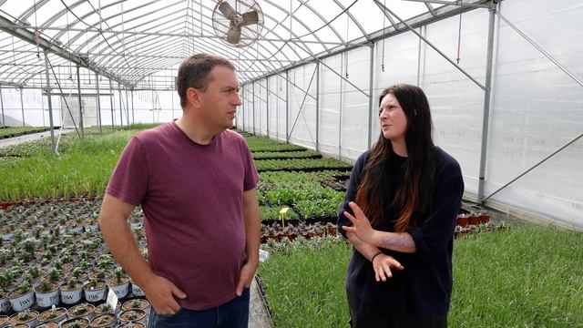 Best Lavender for Your Garden смотреть онлайн