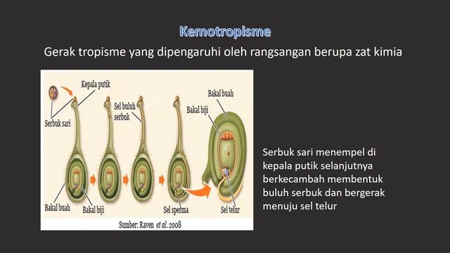 Video Pembelajaran IPA Sistem Gerak Tumbuhan смотреть онлайн