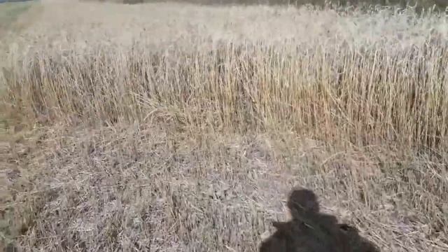всё в кучу смотреть онлайн