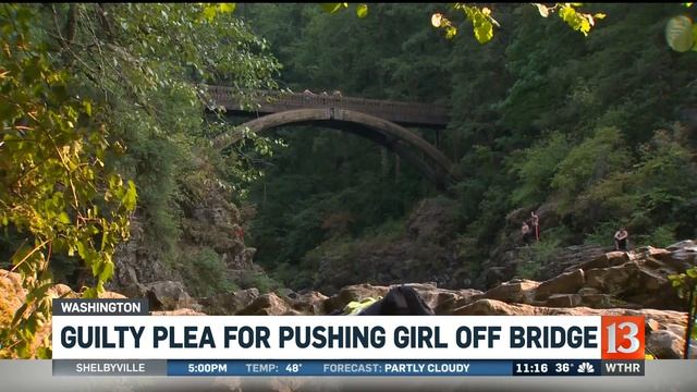 Guilty Plea for teen who pushed girl off bridge смотреть онлайн