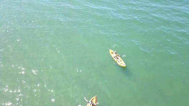 Sea Kayaking, Borth Beach, Ceredigion, Wales UK - July 2020