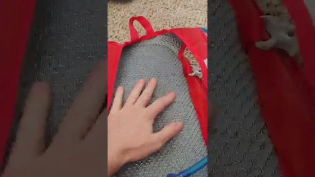 N NEVO RHINO Hydration Backpack Review, Awesome Bag!!!