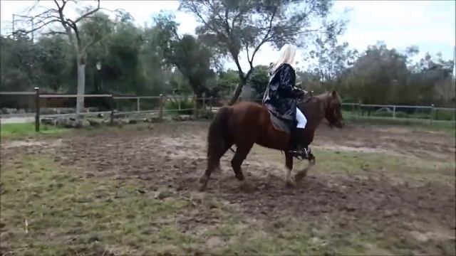 Mistress Riding Horse