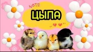 Очень, МИЛЫЙ ЦЫПА, из воздушного пластилина, видео для детей