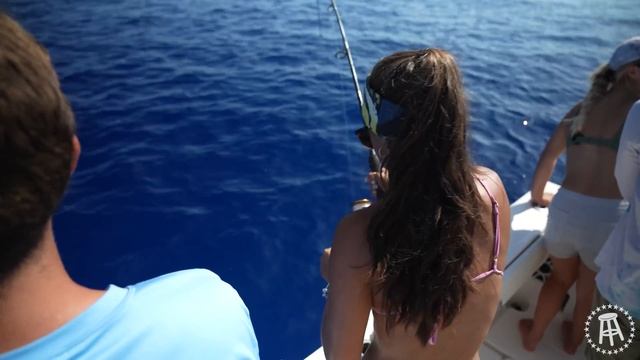 Deep Sea Fishing for Dolphin and Tuna in Marathon, Florida! смотреть онлайн