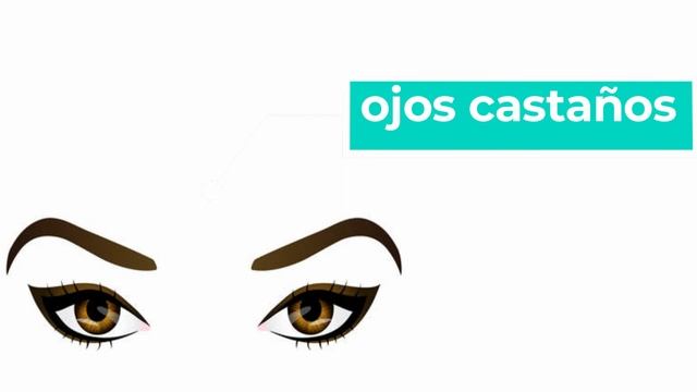 Español Para Niños -La Descripción Física