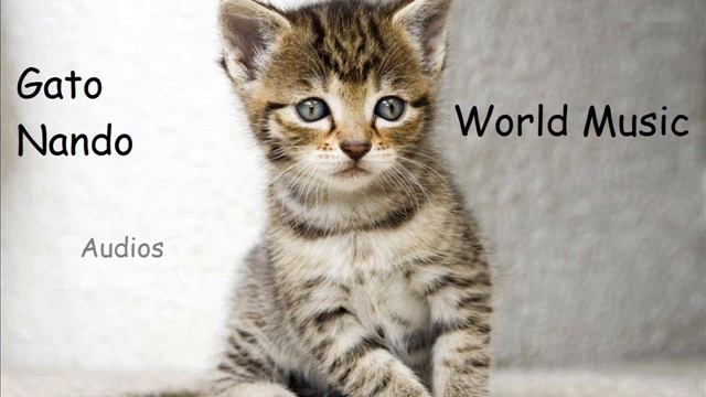 Lord Composer (Jamaica) - Linstead Market смотреть онлайн