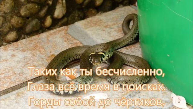 [0115]🙏 Сладкая ложь смотреть онлайн