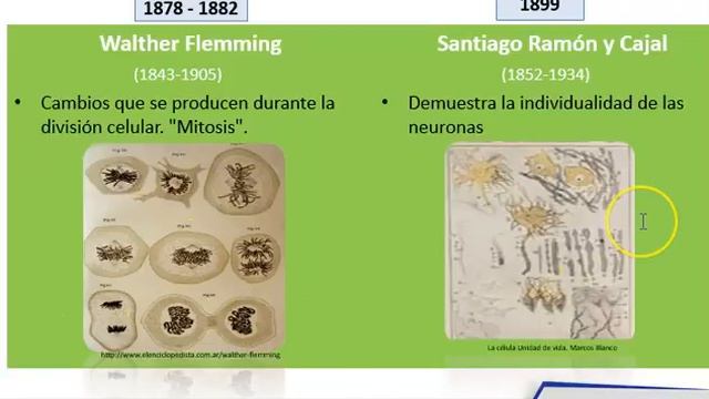 Linea del tiempo смотреть онлайн