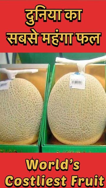 World’s Costliest Fruit | दुनिया का सबसे महंगा फल | #Shorts смотреть онлайн