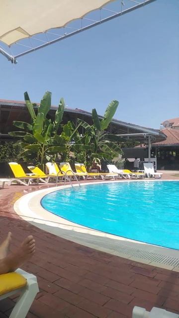 Palm Dor Hotel #Side #antalya #otel смотреть онлайн