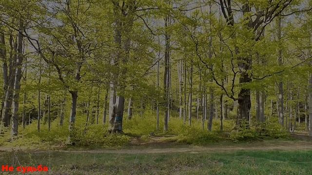 Не судьба смотреть онлайн