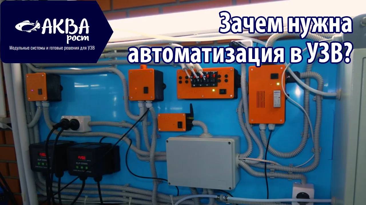 Зачем нужна автоматизация в УЗВ_ смотреть онлайн