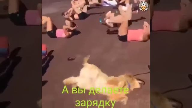 видео про зарядку смотреть онлайн