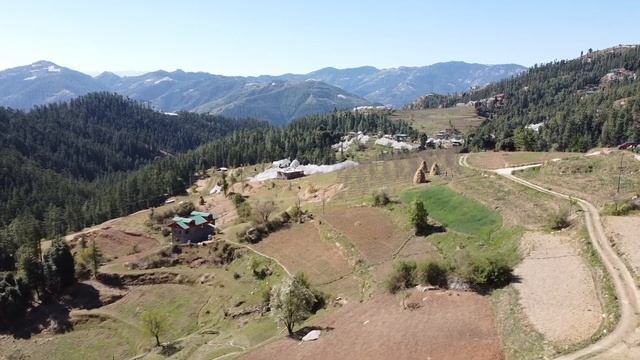 Pargana Palli, Dharampur, Theog, Shimla смотреть онлайн