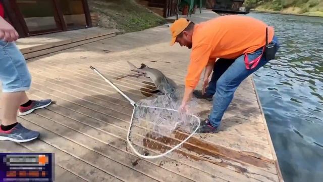 Ликс поймал огромную рыбу смотреть онлайн